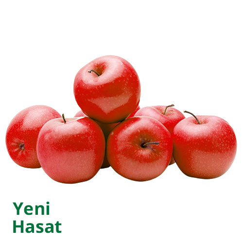 Kırmızı Elma