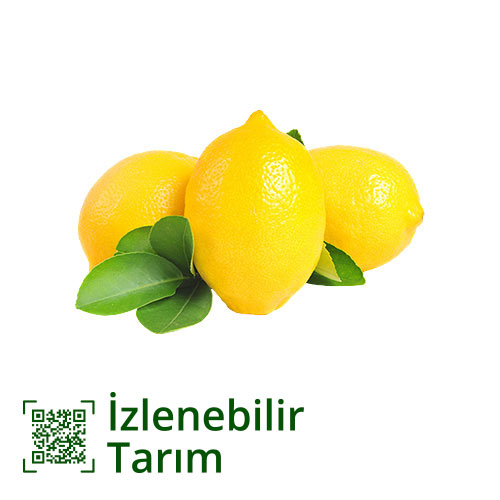 Limon