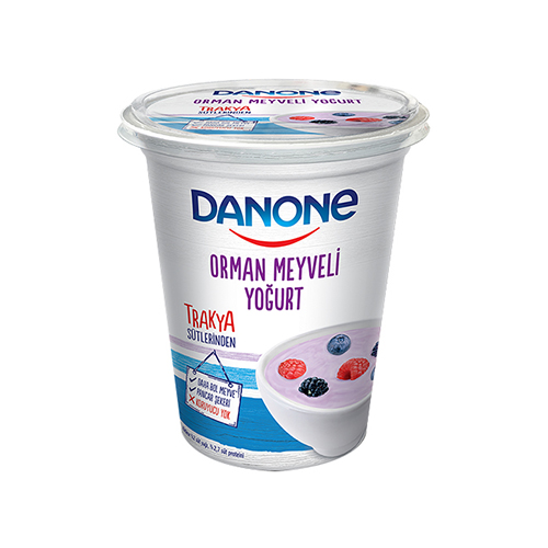 Danone Orman Meyveli Yoğurt