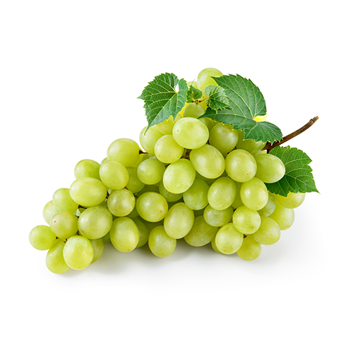 Üzüm